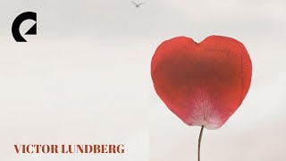 Cover art for Small Fragile Hearts