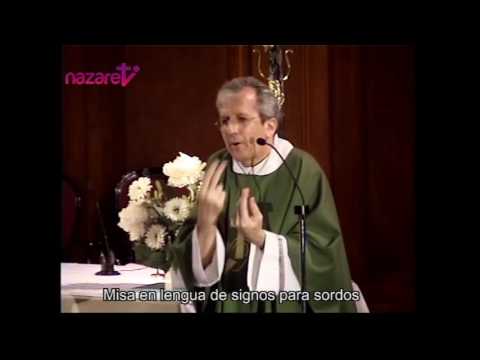 Homilía. XI Domingo Ordinario. Junio 12 2016.