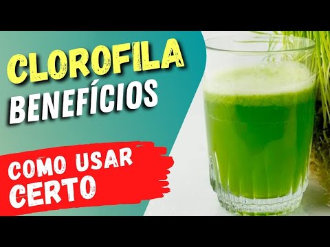 ANTI-INFLAMATÓRIA e ANTIOXIDANTE! Benefícios da CLOROFILA e Dicas Importantes