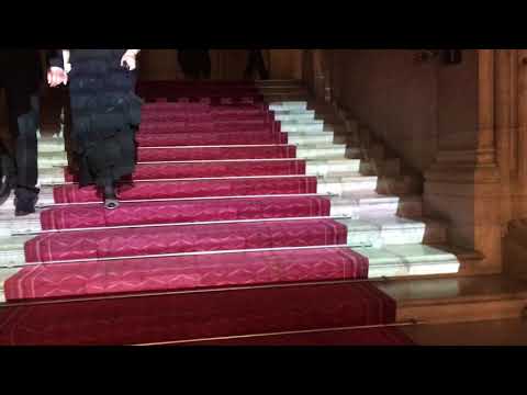 Recording: Wienner Ball der Wissenschaften 2019 "Steps of Logic" by TU Wien, Anna Lukina