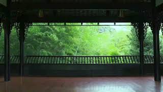Download lagu 3 HOURS Deep Sleep Guqin 🌙 Wu Ji - The Untamed Theme | Healing Music for Insomnia mp3 Download lagu 3 HOURS Deep Sleep Guqin 🌙 Wu Ji - The Untamed Theme | Healing Music for Insomnia mp3