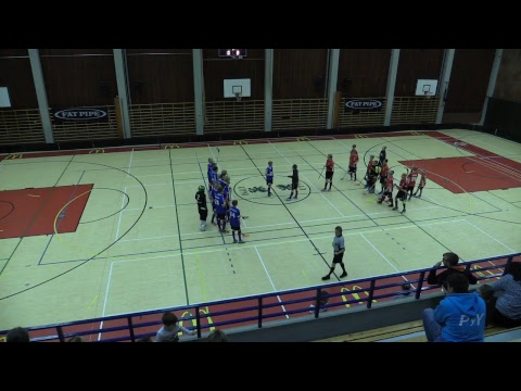 PyY - Voima(D1), 15.10.2017