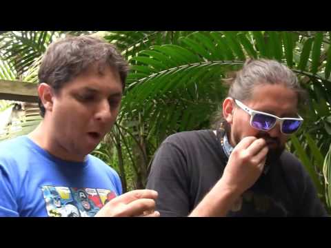 AVESPADOS / Programa 07 - Chocolate en Pacto - Parte 2