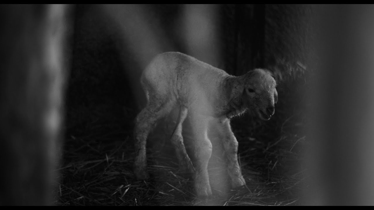 AZ ÚT VÉGÉN - előzetes