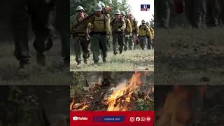 As the Spokane area fires burned through thousands of acres in the wildland interface, destroying
