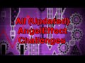 I Beat All Of The AngelEffect Challenges