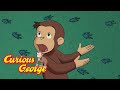 George Tracks Animal Prints Curious George Kids Cartoon Kids Movies