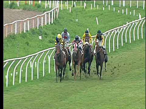 Galoppo 22/03/2018 - 1ª corsa