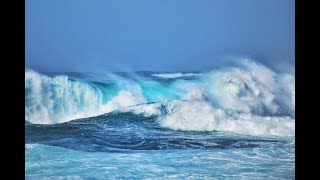 Cistite: una patologia di origine intestinale