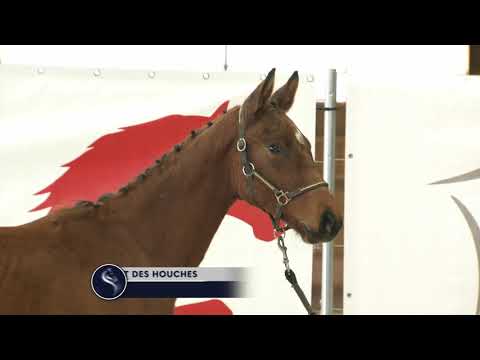 L'ESPRIT DES HOUCHES