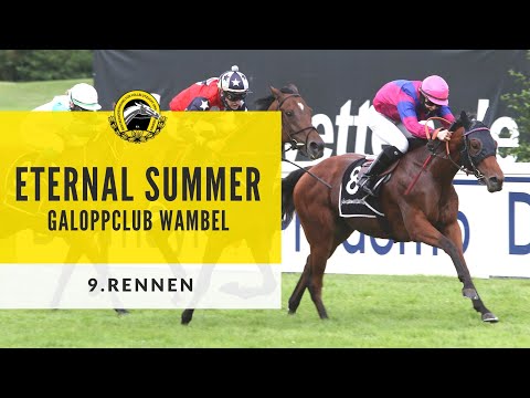 Vollblut Bayern: Dallmayr Coupe Lukull