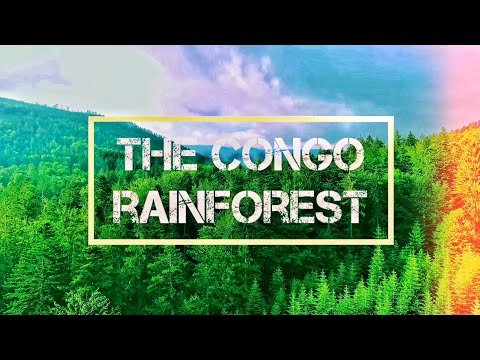 Congo Rainforest | The Other Lung of the Planet | The 💜 of Africa |