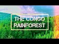 Congo Rainforest The Other Lung Of The Planet The Of Africa