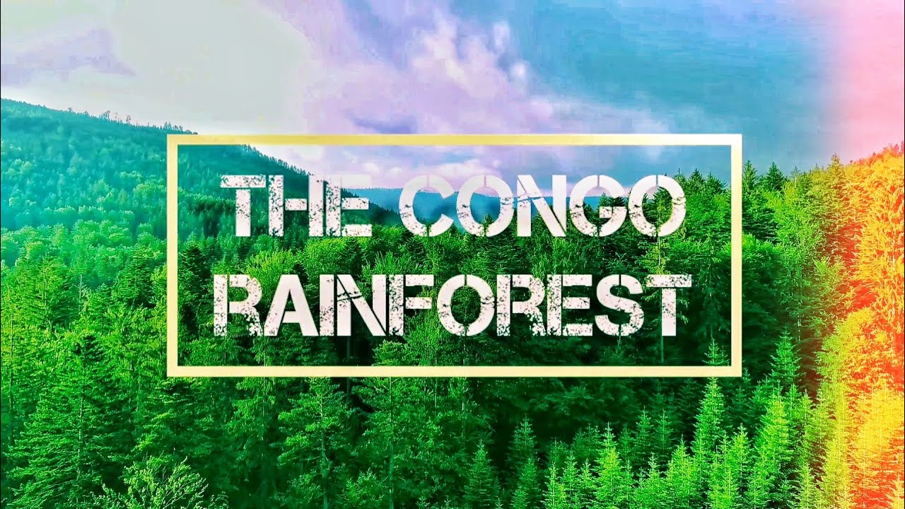 Congo Rainforest | The Other Lung of the Planet | The 💜 of Africa |