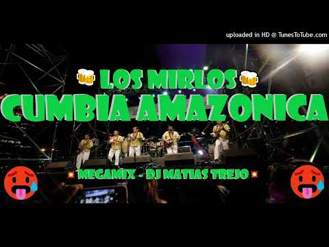MEGAMIX LOS MIRLOS - DJ MATIAS TREJO