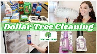 DOLLAR TREE CLEANING PRODUCTS 2021  TESTING DOLLAR