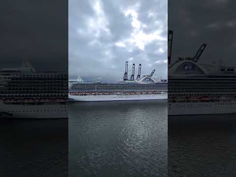 Thumbnail for Princess Cruise Ship departs Ensenada from onboard Carnival Panorama #cruise #carnival #mexico