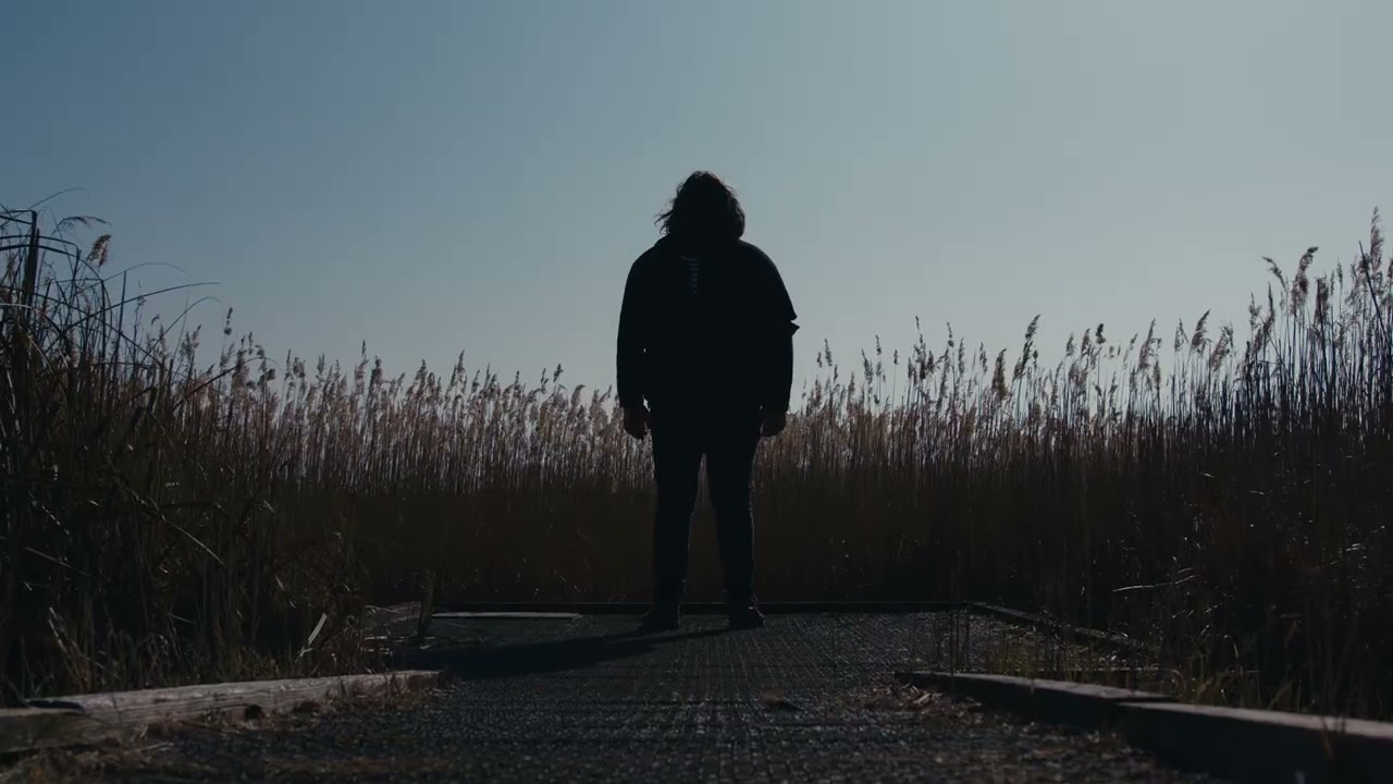 THE CARICATURE REQUIEM RELEASES JULY 5TH!!