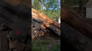 Unloading logs off a dump truck