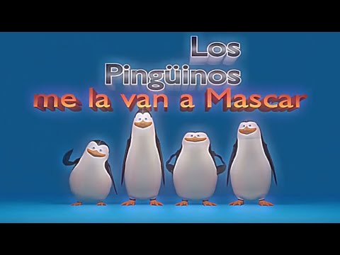 Kawasaki kago crico Estriper