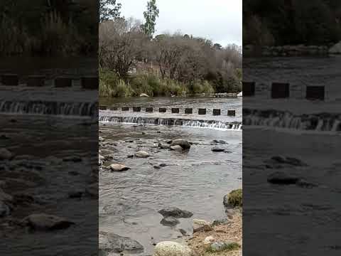 8 de Agosto 2022 -  Los Reartes 🇦🇷 Paseando por el Río.