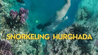 Snorkeling HURGHADA - MAKADI BAY