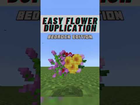 IceCoffey - Minecraft Any Tall Flower Duplication Glitch [Bedrock 1.20.10+] #shorts