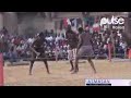 Hausa Comedy Dan Dambe Sadik Sani Sadik