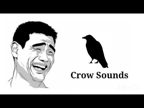 Crow Sound || Background Sound Effect || Background Music || Funny Sound 2022