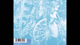 deerhunter - cicadas