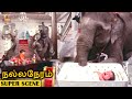 Iconic Scene Ramu Elephant Take Caring M G R S Baby Nalla Neram K R Vijaya IFB