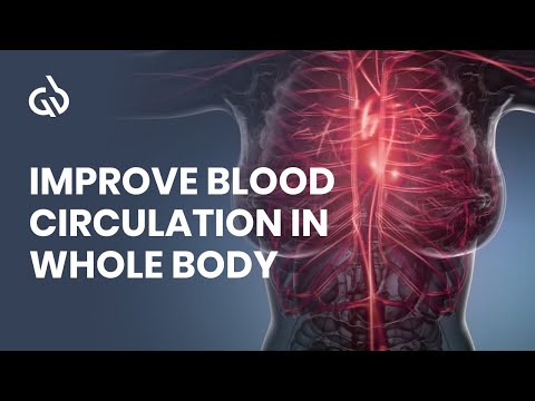 Blood Circulation Frequency: Rife Frequency for Better Blood Flow