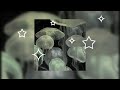 A Jellyfish Playlist