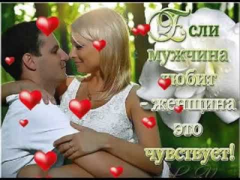 НИКО-НЕ ЗАБУДУ НИСА