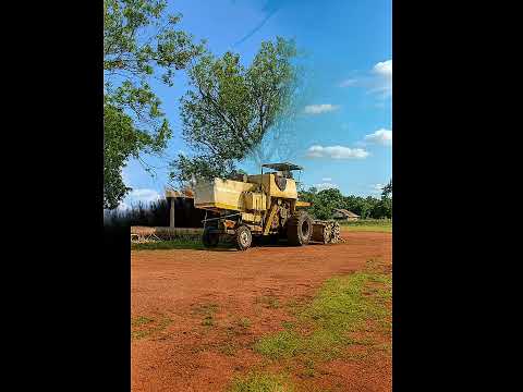 Fazenda 268 Alq. em Dueré - TO: 60% Soja, 1.800mm de Chuva e Logística Imbatível