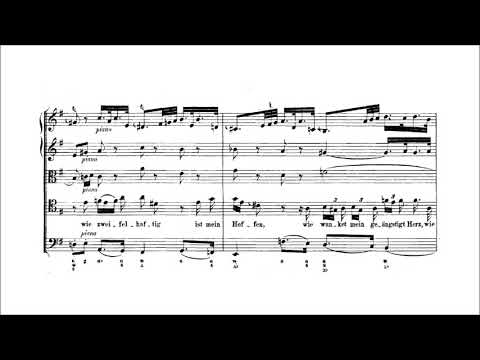 SP's score videos