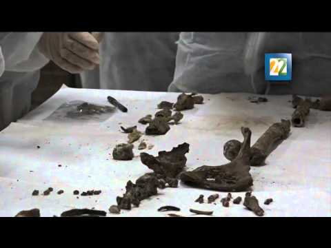 Descubrimiento de lo que consideran son huesos de Miguel de Cervantes