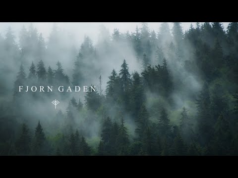 THEODOR BASTARD - Fjorn Gaden (dark karelian & nordic folk musiс)