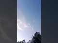Love dragonflies | dragonfly | Evening record