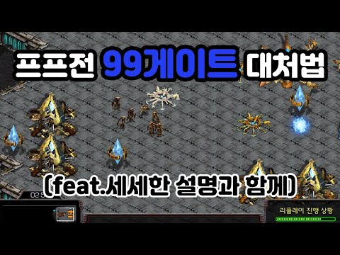 [Protoss Guide] Handling 99 Gate Pressure in PvP!!