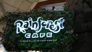 preview picture of video 'Road Trip pt 2 Rainforest Cafe and more with Gracie Vlog #39'