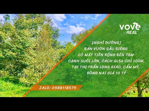 Bán vườn sầu riêng cổ thụ ven suối có 78m mặt tiền đường bê tông tại Long Giao,