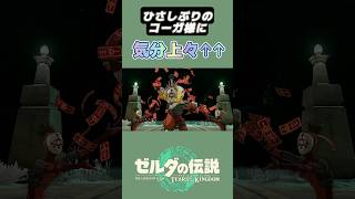 【ティアキン】コーガ様のご登場が嬉しすぎたので【切り抜き】 #ゼルダの伝説 #ゼルダの伝説ティアーズオブザキングダム #ティアキン #ゲーム実況