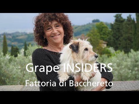 Grape INSIDERS: Fattoria di Bacchereto in Carmignano