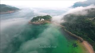 Soulbird Rise - India.Arie [lyric video]