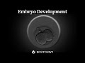 Embryo Development | Science at Boston IVF