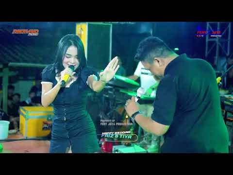 PAEYLAND MUSIC - KAWIN KONTRAK - FEBY PESEK FT KEMBUT - WEDDING FAIZ & TIYA-MINDAHAN BATEALIT JEPARA