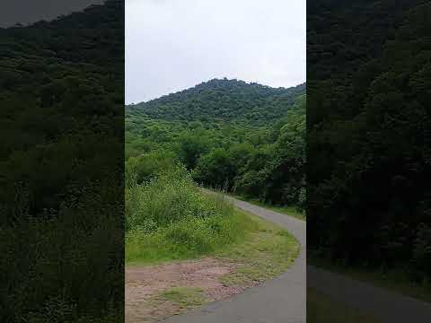 #El Cadillal #Tucumán #Suzuki #V-strom