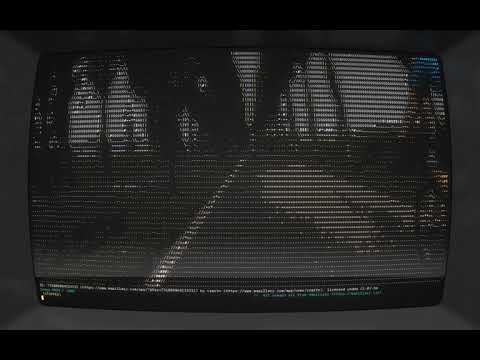 roam demo