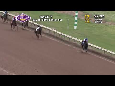 New York Breeders' Futurity 2019